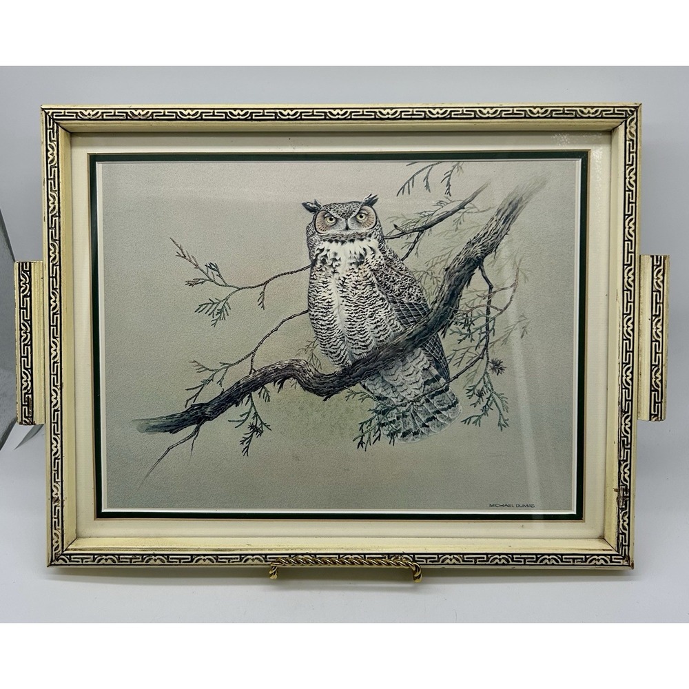 Owl Picture Unique Geometric Framed Tray Wall Hanging Table Top Michael Dumas